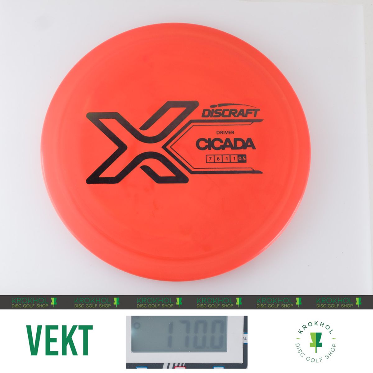 X Line Cicada